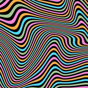 Meet your Posher, Xonnia